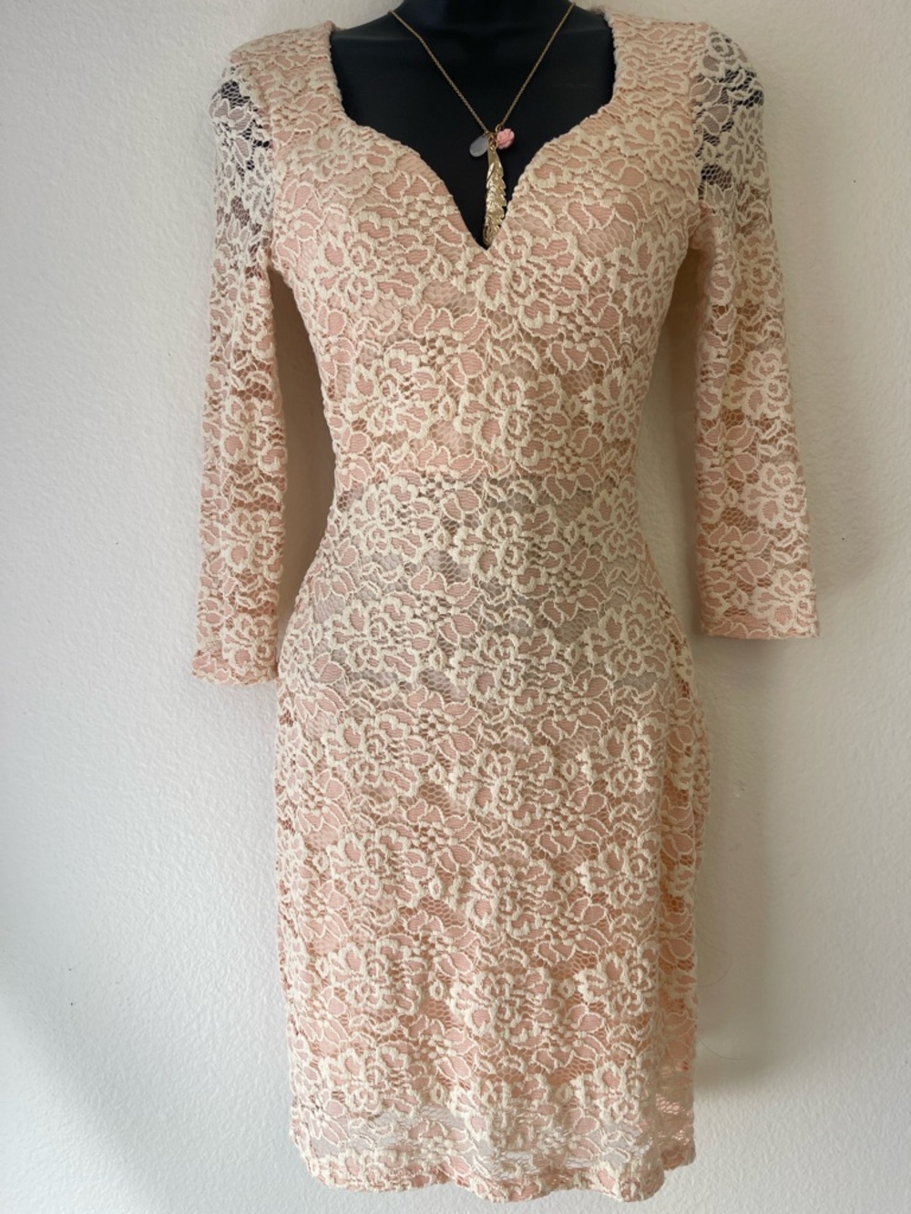 Fitted Long-Sleeve Lace Dress in Blush Pink